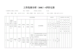 打光作业危害分析及评价.docx