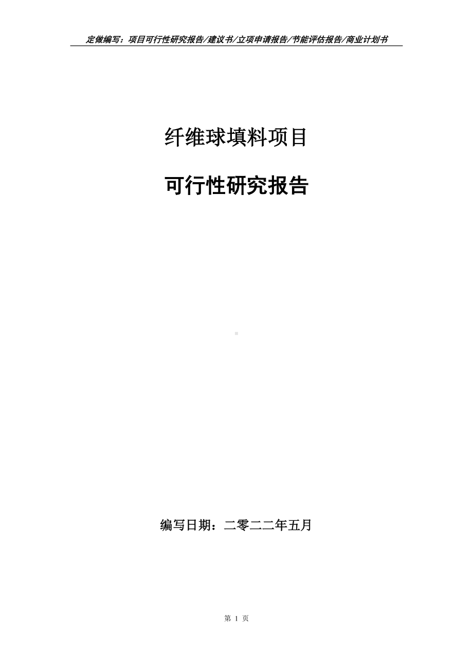 纤维球填料项目可行性报告（写作模板）.doc_第1页