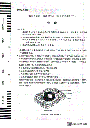 海南省2022—2023学年高三学业水平诊断（三）生物试题及答案.pdf