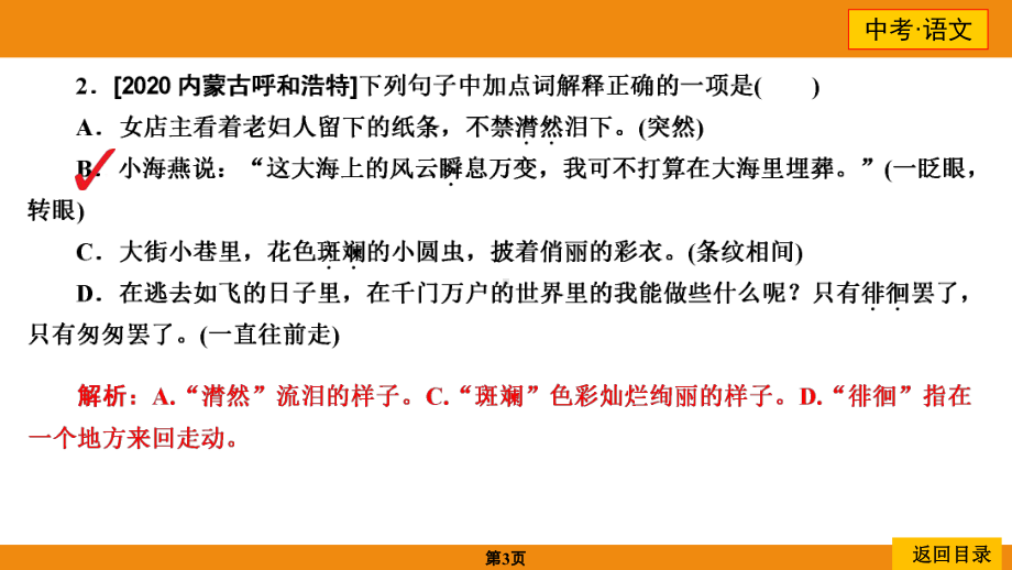 中考命题3 词语的理解 ppt课件-2021届中考语文二轮复习.ppt_第3页