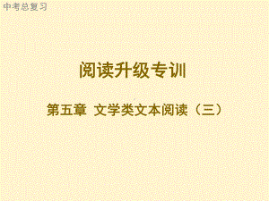 2021年广东省中考语文二轮复习阅读升级专训文学类文本阅读（三）（共46张PPT）ppt课件.ppt