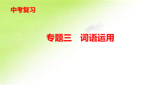 专题三　词语运用 ppt课件-重庆市2021年中考语文复习.pptx