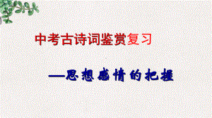 2021年中考古诗歌鉴赏 思想感情的把握 ppt课件（28张PPT）.ppt