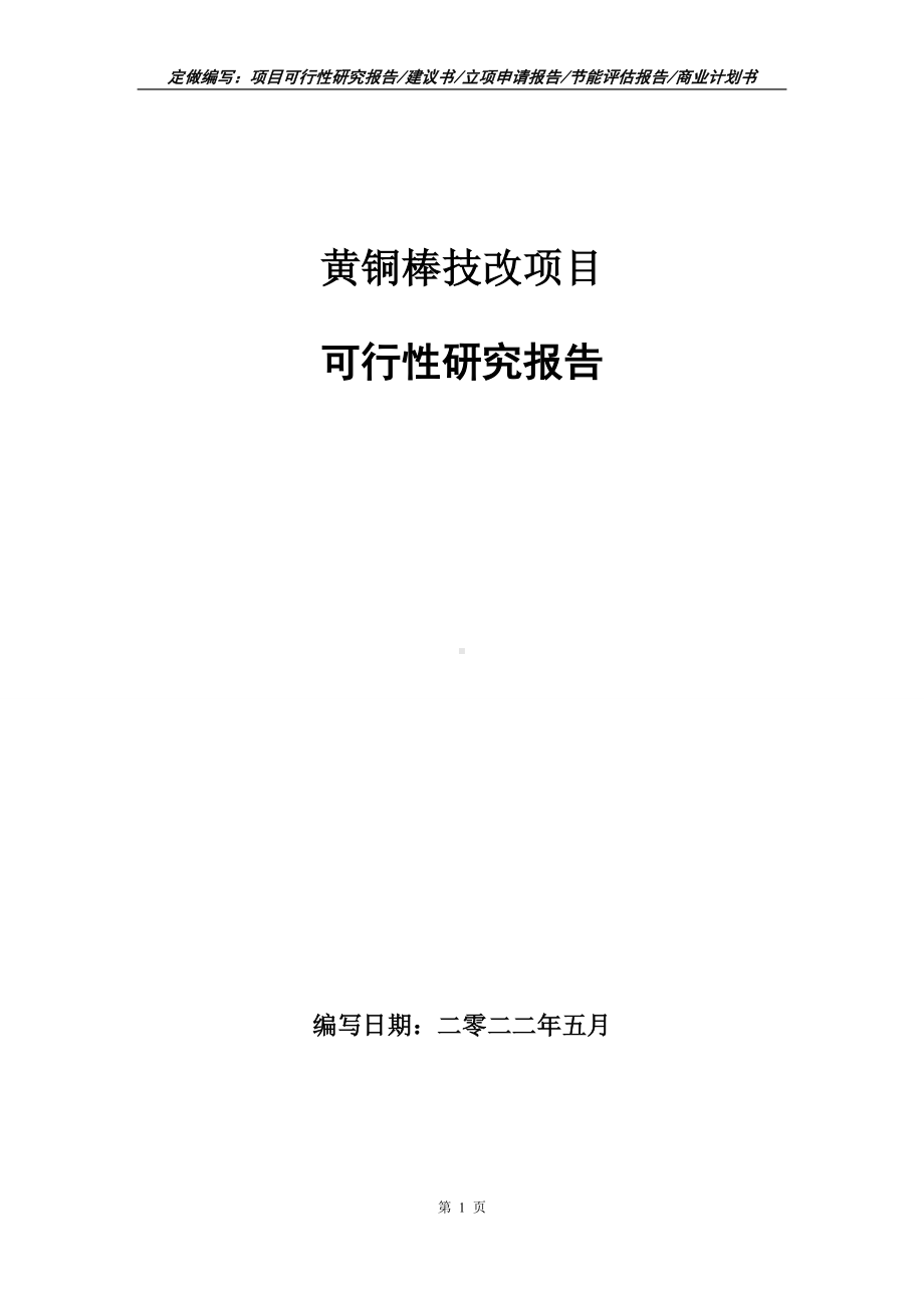 黄铜棒技改项目可行性报告（写作模板）.doc_第1页