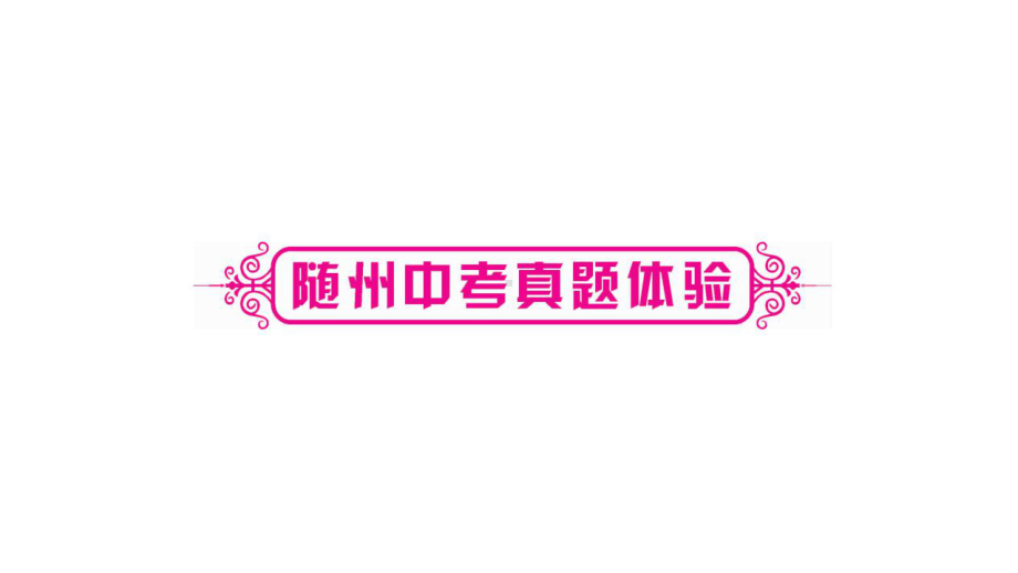 专题六 课外文言文阅读-（随州）2020届九年级语文中考复习ppt课件 (共368张PPT).pptx_第2页