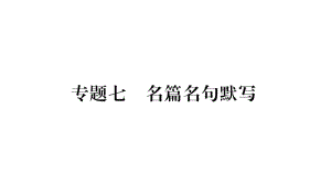 专题七-（随州）2020届九年级语文中考复习ppt课件 (共37张PPT).pptx