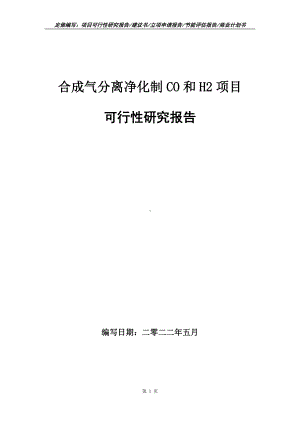 合成气分离净化制CO和H2项目可行性报告（写作模板）.doc