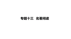 2021年南充市中考语文总复习专题突破 专题十三 名著阅读ppt课件（286张PPT）.pptx