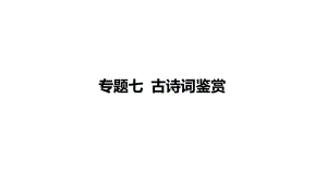 2021年南充市中考语文总复习专题突破 专题七 古诗词鉴赏ppt课件（295张PPT）.pptx