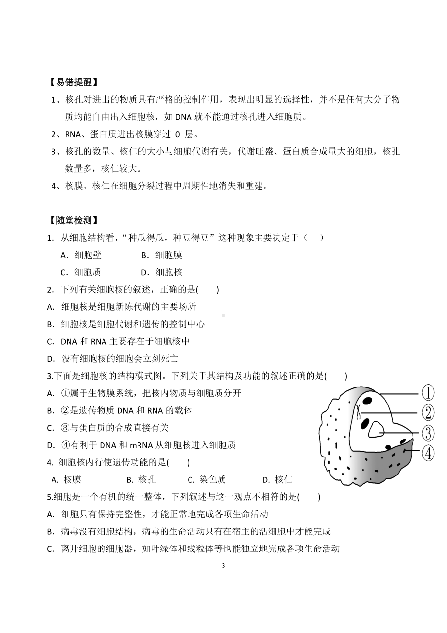 高中生物课件-细胞核的结构和功能.pdf_第3页