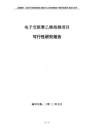 电子交联聚乙烯泡棉项目可行性报告（写作模板）.doc