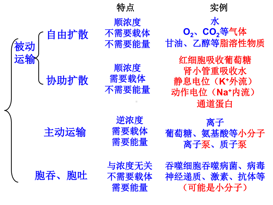 高中生物导学案-物质跨膜运输的方式.pdf_第2页