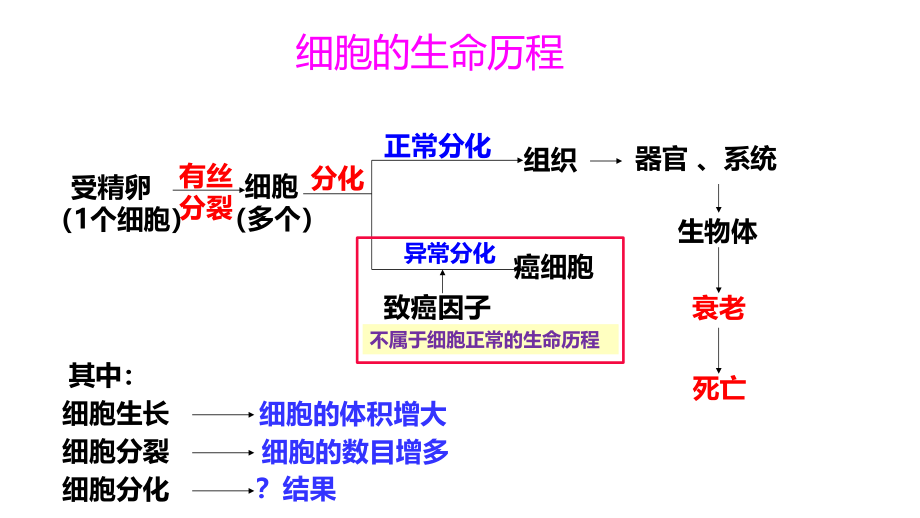 生物教学-梅细胞的生命历程第3讲 细胞分化.pdf_第3页