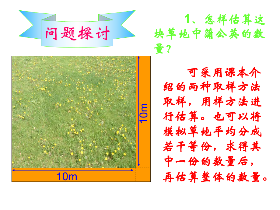 高二生物教学种群特征.pptx_第2页