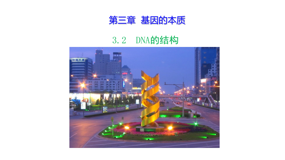 生物公开课-DNA的结构.pdf_第1页