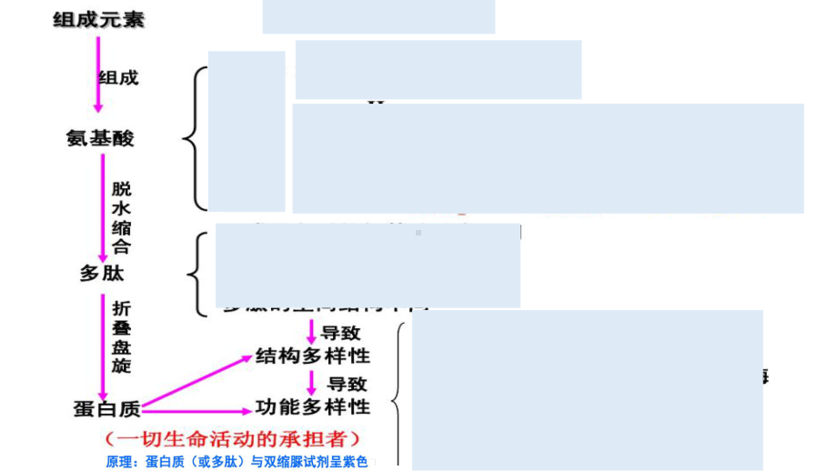 高中生物课件-蛋白质.ppt_第2页