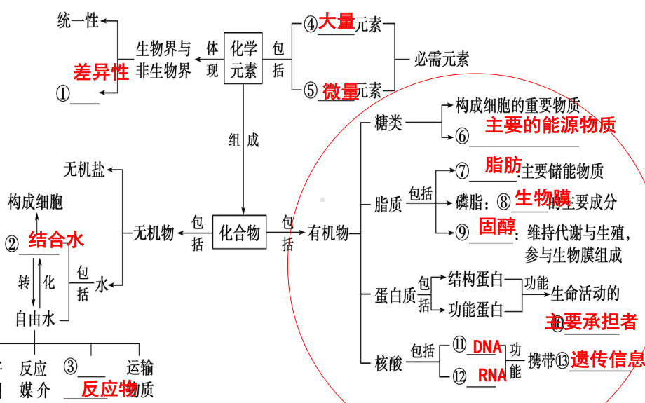 高中生物导学案-有机物（公开课）.pptx_第3页