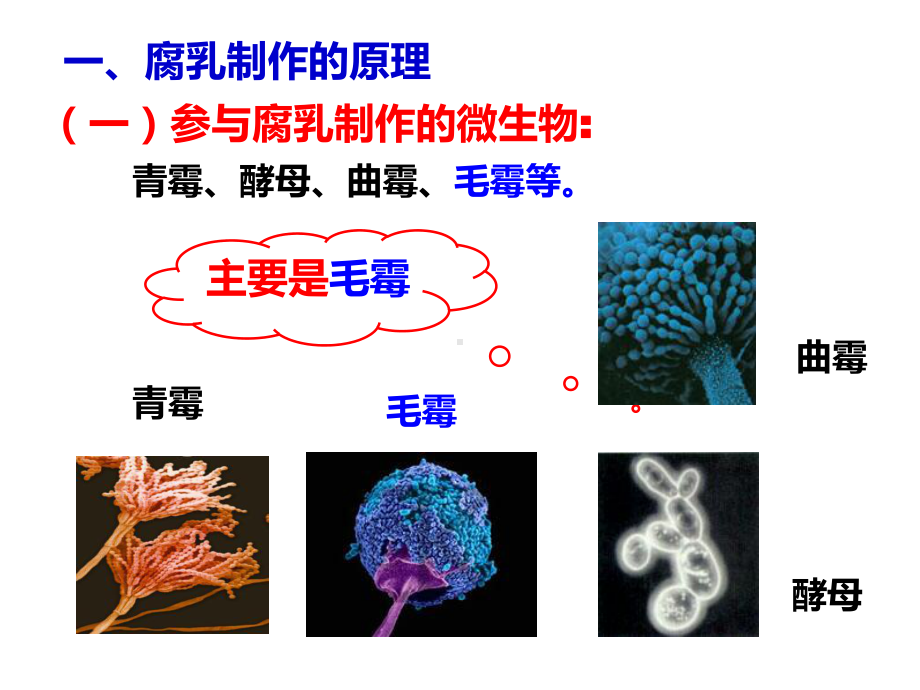 腐乳的制作.pptx_第2页