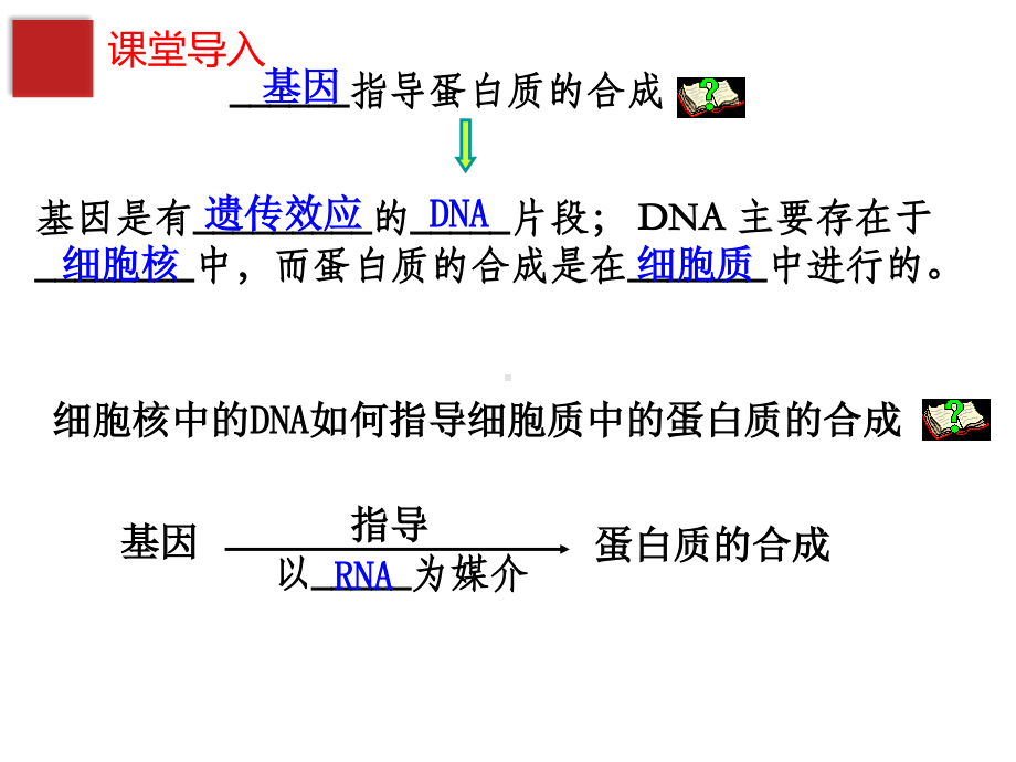 生物公开课-基因指导蛋白质的合成.pdf_第3页