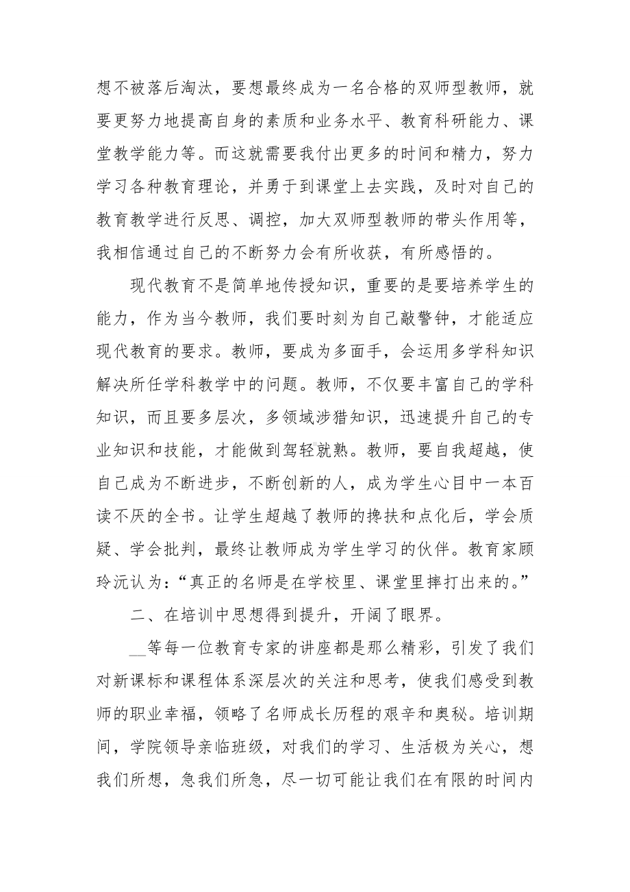 双师型教师培训总结8篇.doc_第2页