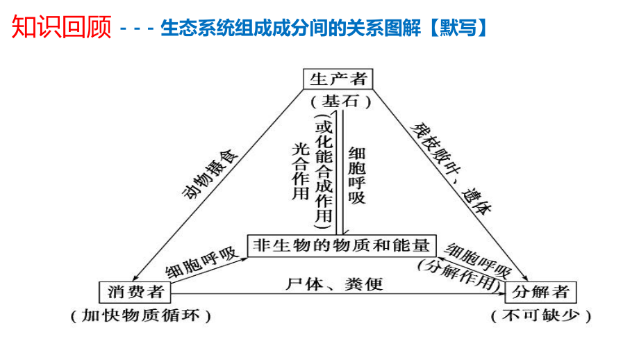 生态系统的物质循环（复习公开课）.pptx_第1页