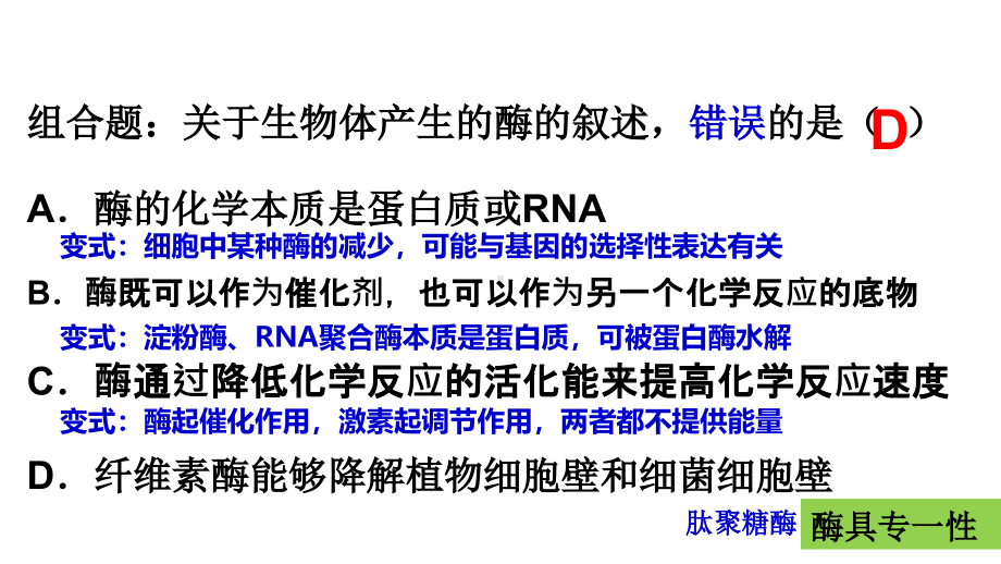 生物公开课-04酶和ATP.pdf_第3页