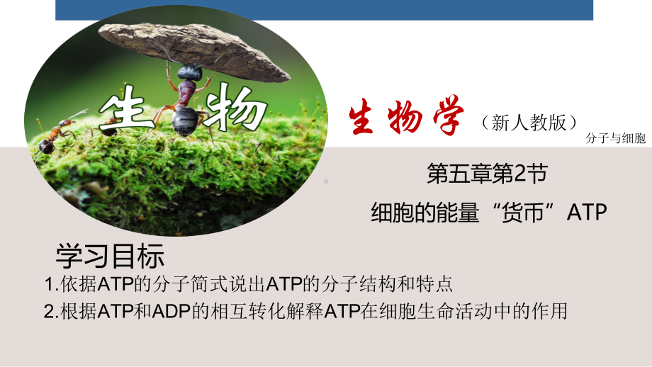 生物教学-细胞的能量“货币”ATP.pdf_第1页