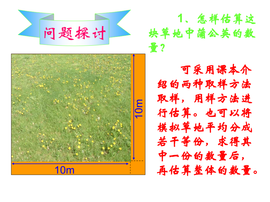 高二生物教学种群特征.pdf_第2页