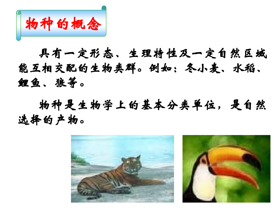 高二生物教学种群特征.pdf_第3页