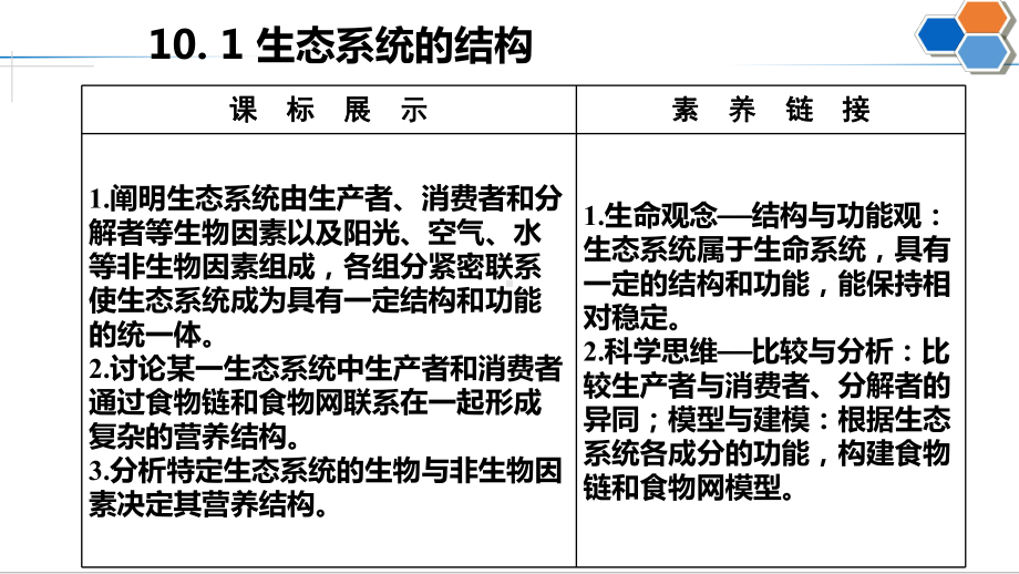 生态系统的结构公开课.pptx_第3页