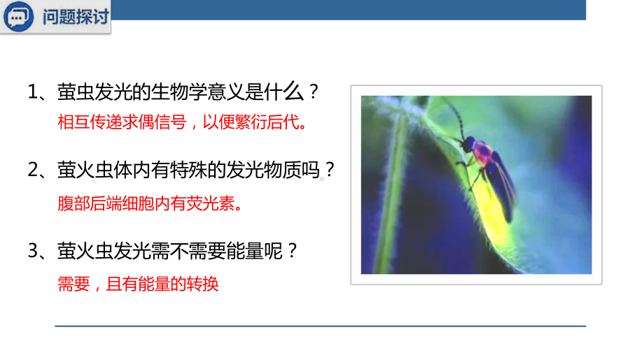 生物教学-细胞的能量“货币”ATP.pptx_第3页