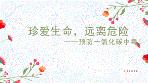 珍爱生命远离危险 预防一氧化碳中毒 ppt课件-2023春高中主题班会.pptx