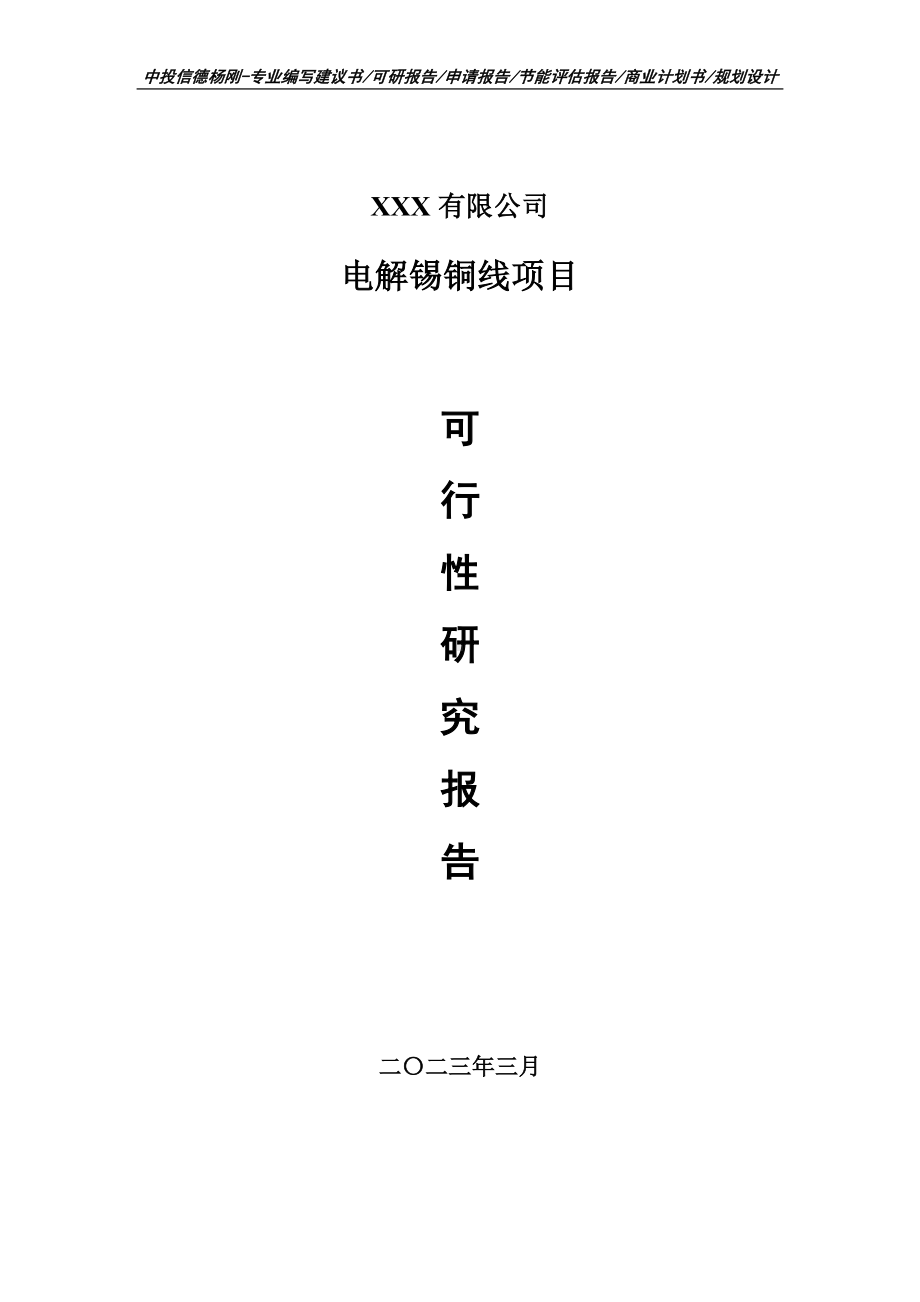 电解锡铜线生产项目可行性研究报告申请建议书.doc_第1页