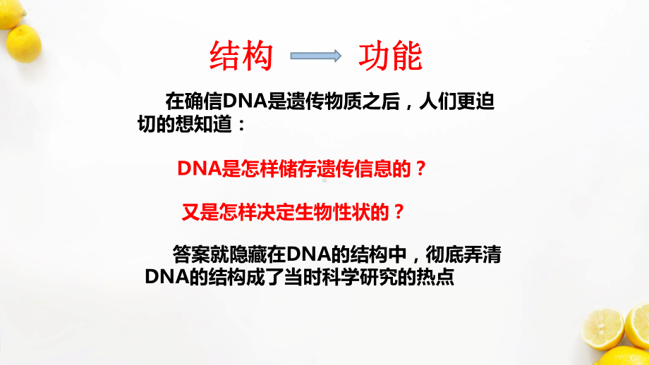 生物公开课-DNA的结构.pptx_第3页