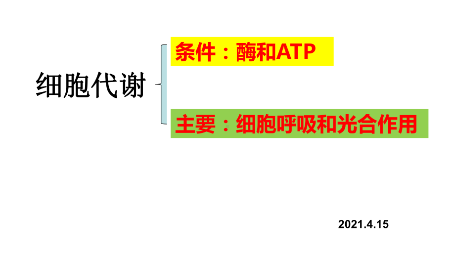 生物公开课-04酶和ATP.ppt_第1页