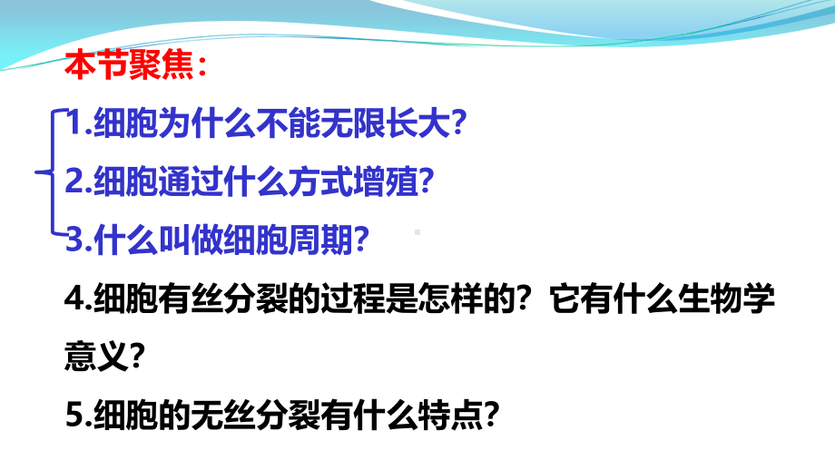 高中生物课件-细胞增殖.pdf_第3页