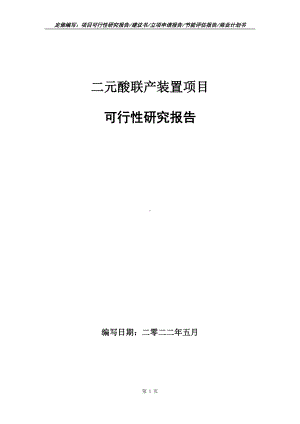 二元酸联产装置项目可行性报告（写作模板）.doc