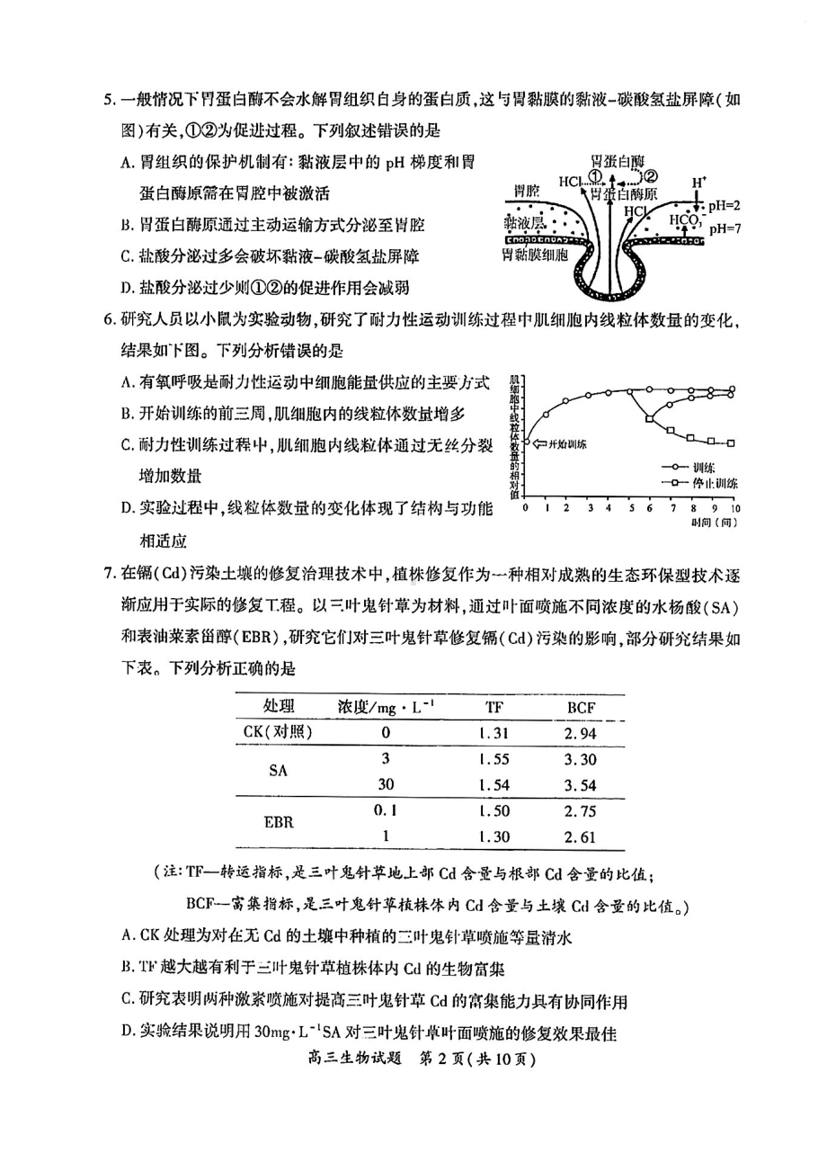 福建省厦门市2023届高三下学期3月第二次质量检测生物试卷+答案.pdf_第2页