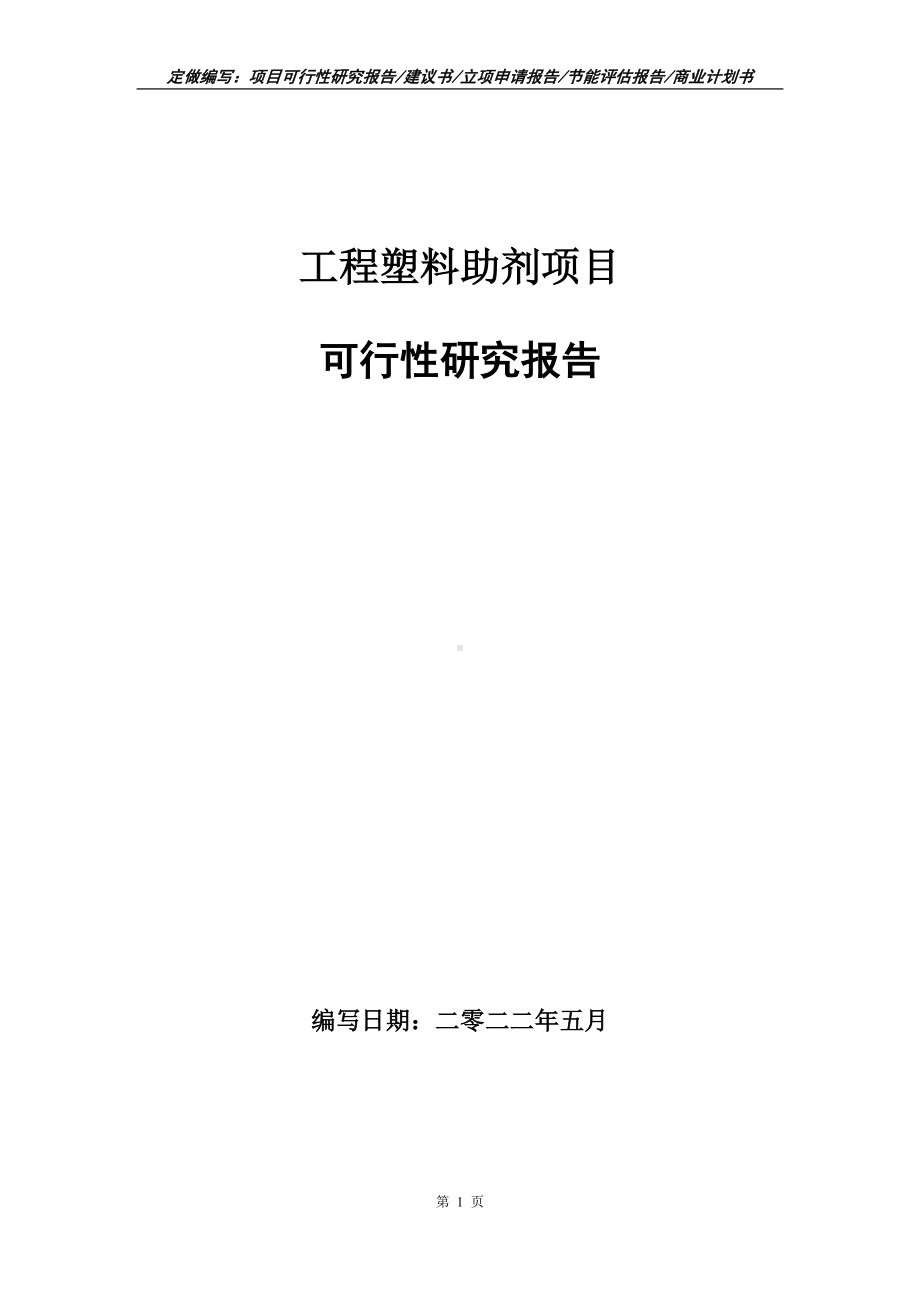 工程塑料助剂项目可行性报告（写作模板）.doc_第1页