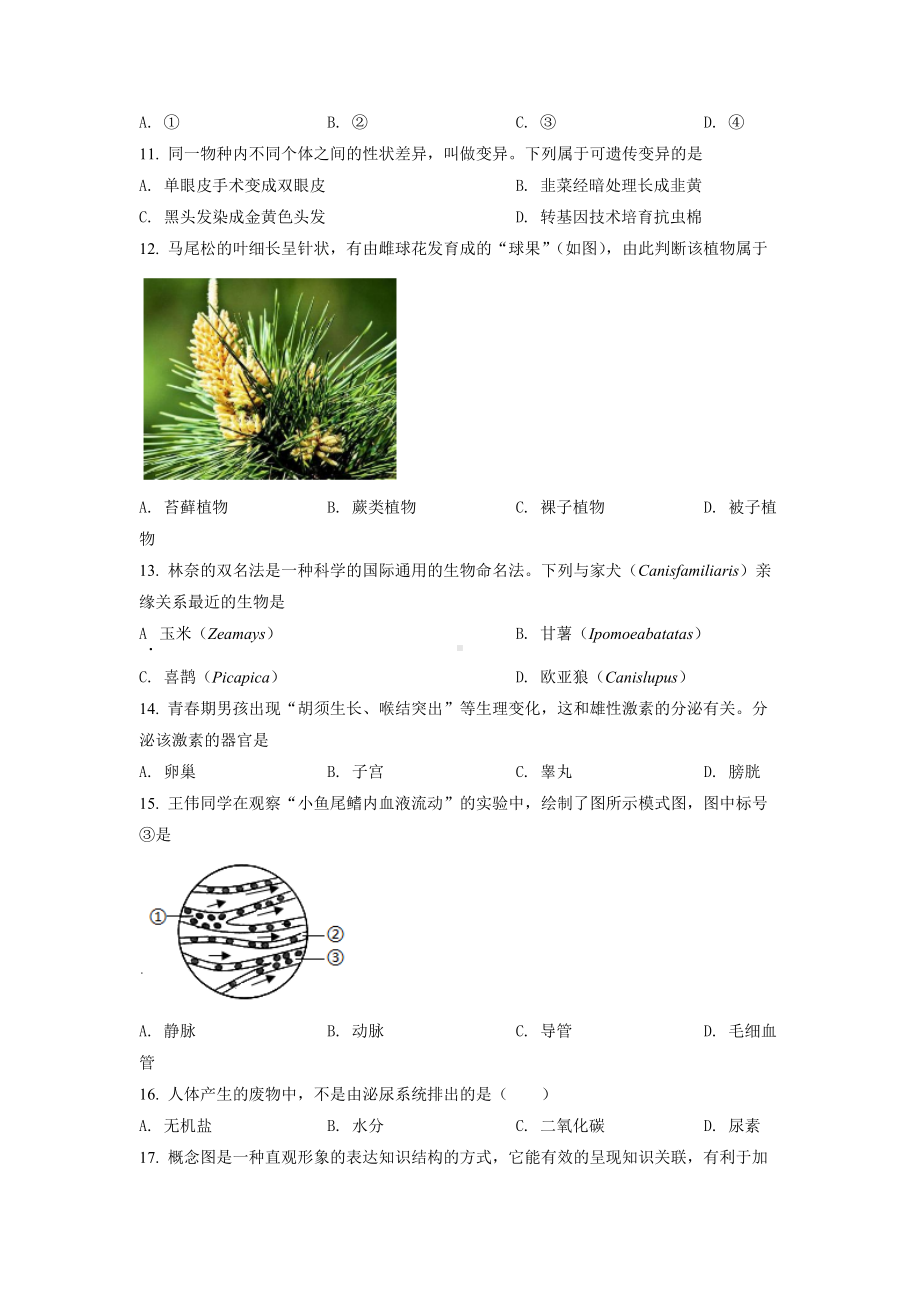 2022年江苏省泰州市中考生物真题（含答案）.docx_第3页