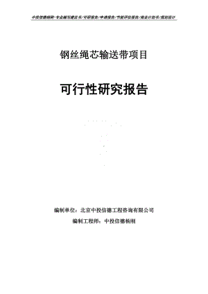 钢丝绳芯输送带项目可行性研究报告申请立项建议书.doc