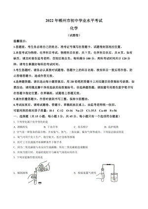 2022年湖南省郴州市中考化学真题（含答案）.docx