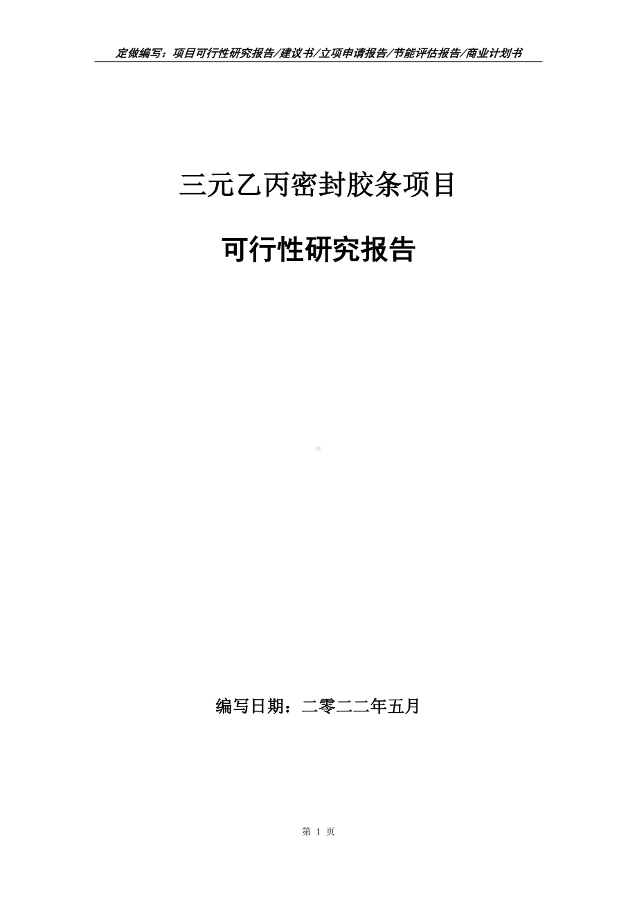 三元乙丙密封胶条项目可行性报告（写作模板）.doc_第1页