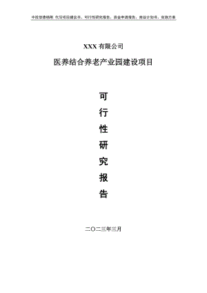 医养结合养老产业园建设项目可行性研究报告建议书.doc