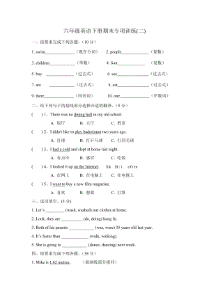 人教PEP版六年级下册《英语》期末专项训练(无答案).docx