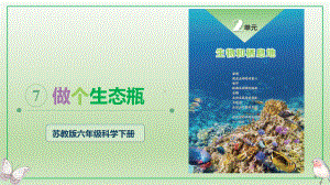 2.7.做个生态瓶 ppt课件 -2023新苏教版六年级下册《科学》.pptx