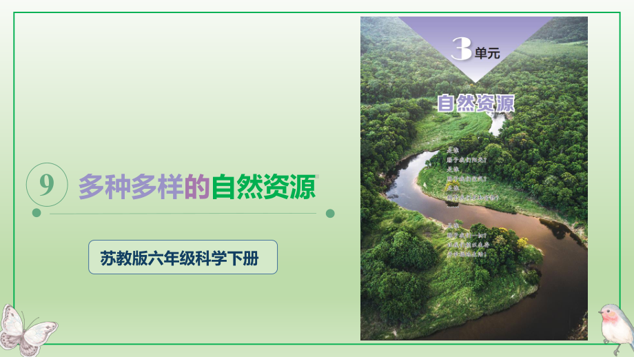 3.9.多种多样的自然资源 ppt课件(共29张PPT)-2023新苏教版六年级下册《科学》.pptx_第1页