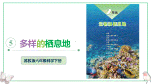 2.5.多样的栖息地（ppt课件）(共21张PPT )-2023新苏教版六年级下册《科学》.pptx