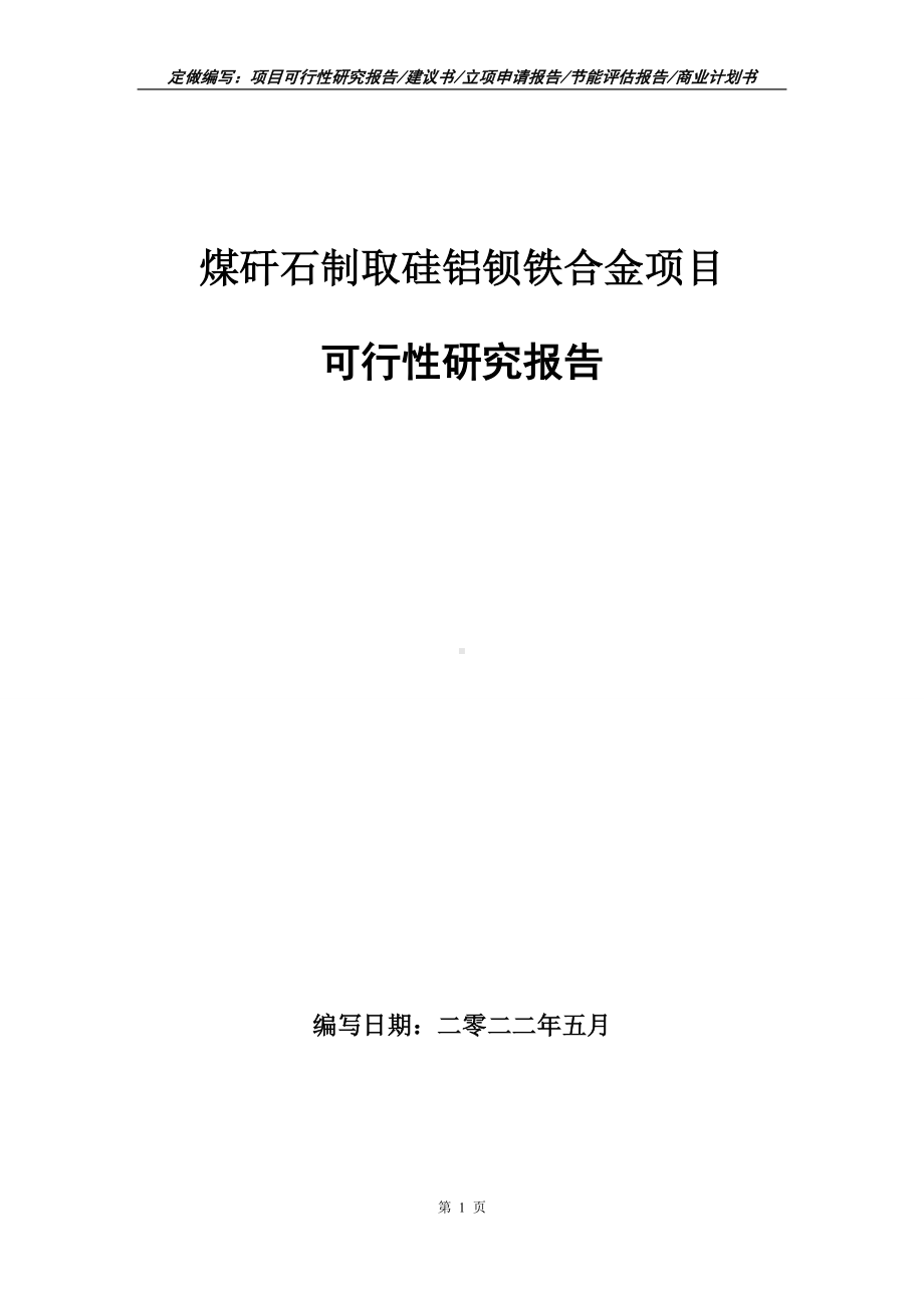 煤矸石制取硅铝钡铁合金项目可行性报告（写作模板）.doc_第1页