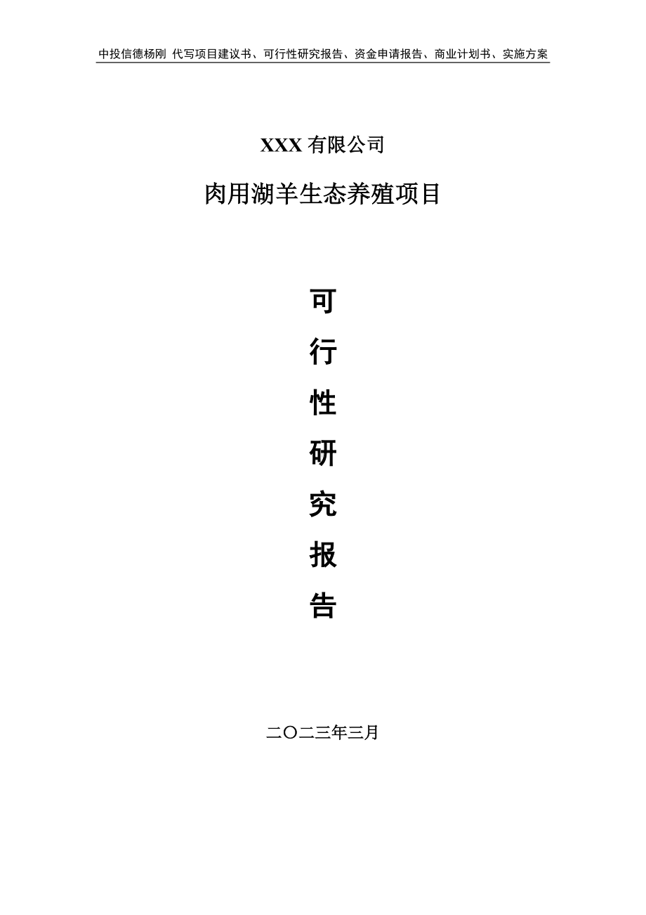 肉用湖羊生态养殖项目可行性研究报告申请建议书.doc_第1页